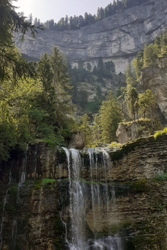 bienfaits de la nature sur le mental