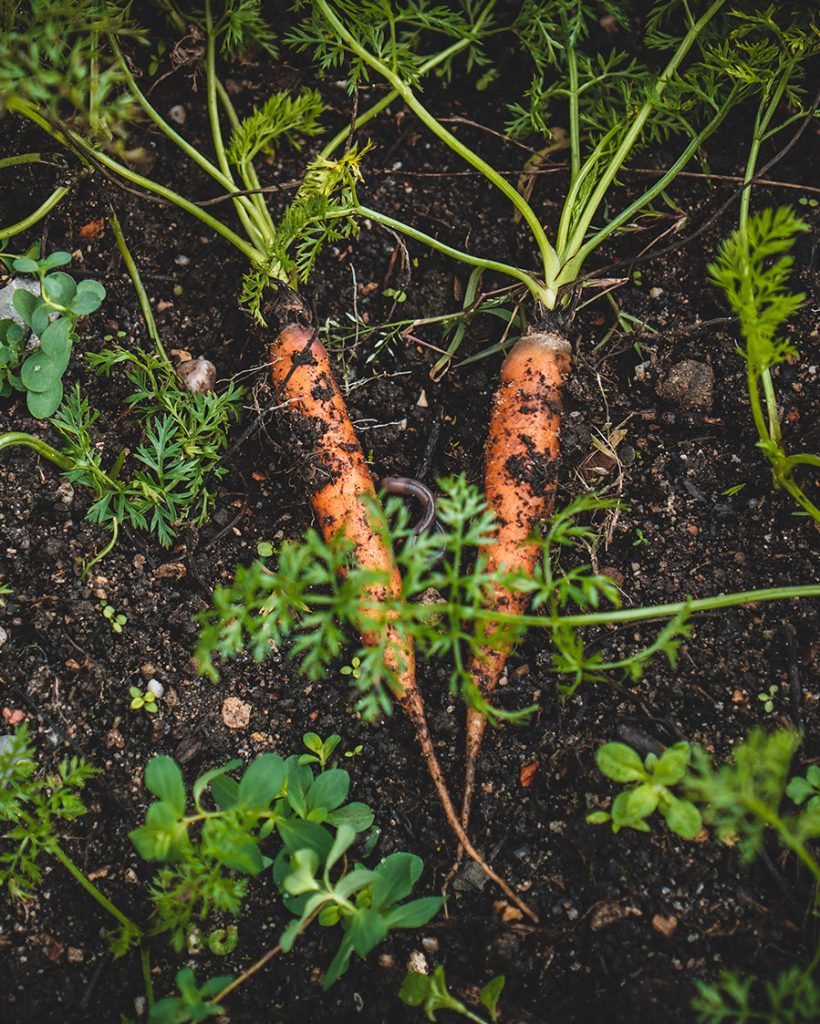 Comment profiter de la nature ?