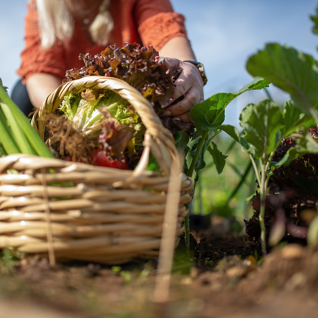 alimentation saine consommer des aliments naturels moins transformés