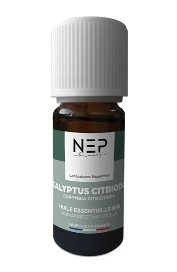 eucalyptus aceite esencial