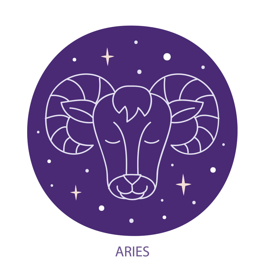 características aries 