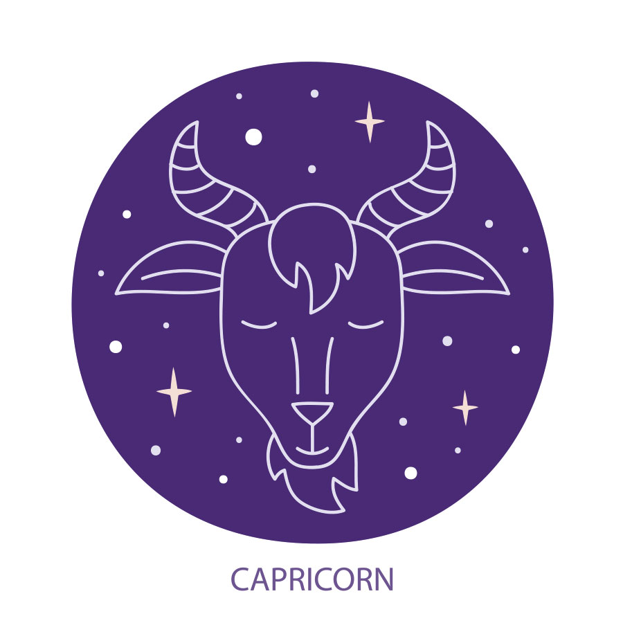 características capricornio 