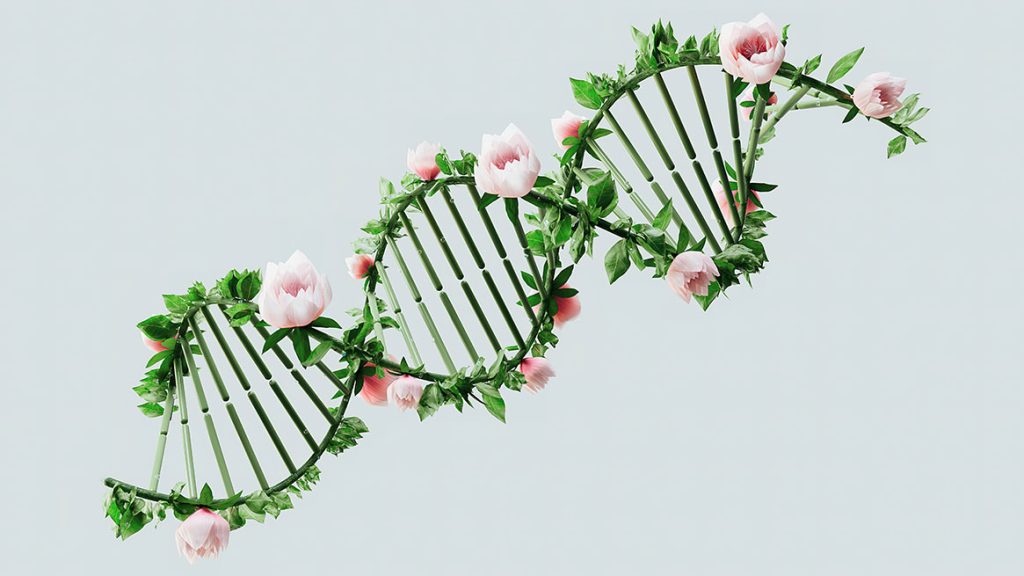 epigenética: ¿cómo activar genes para cambiar tu destino