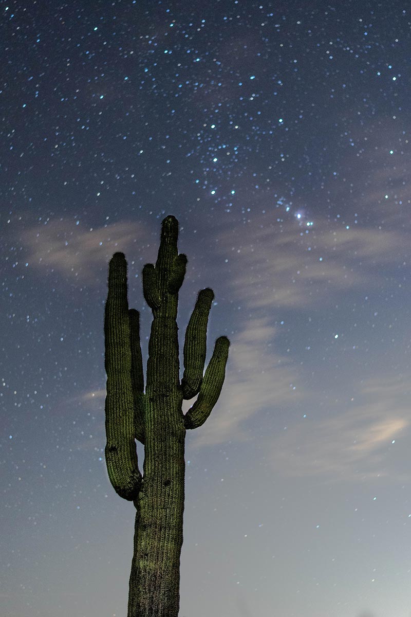 Aprender a leer tu carta del cielo 