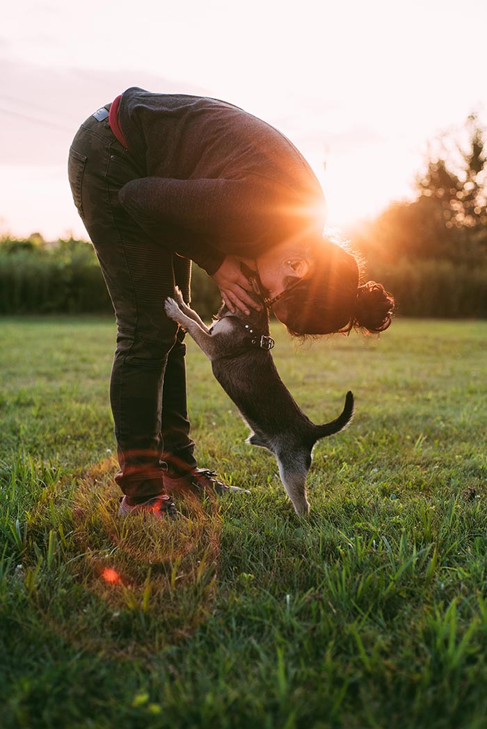 Les 4 points clés de la relation avec notre chien