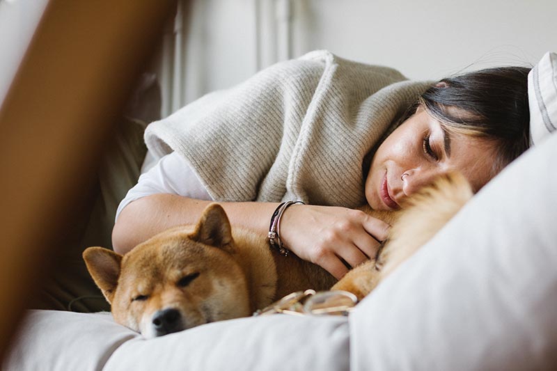 mi perro mi espejo amor entre perros y humanos 