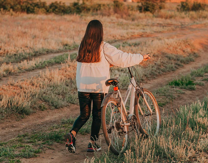 qu'est-ce que le chemin de vie?