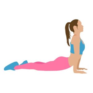 exercices abdominaux renforcer sa sangle abdominale