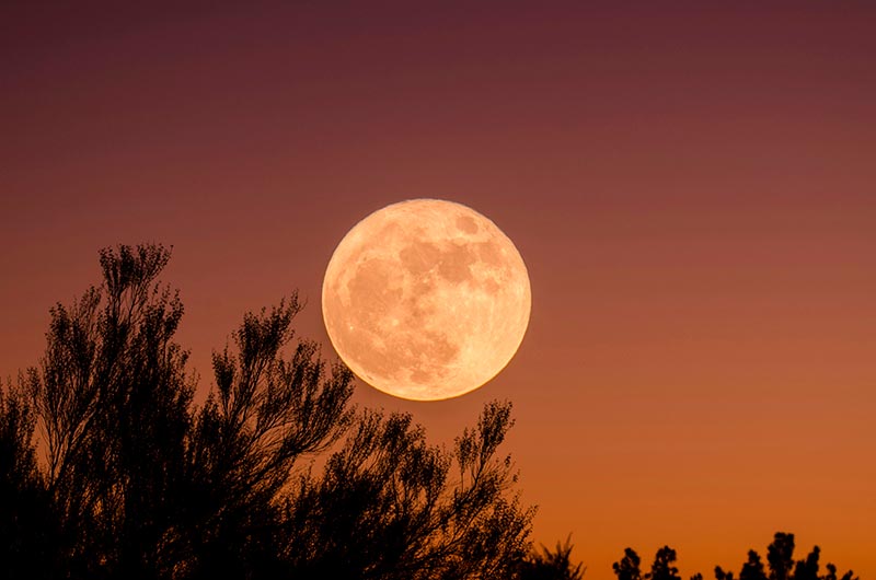 luna llena en Escorpio de abril 2024