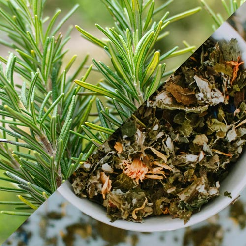 sahumerios artesanales con plantas romero y té verde