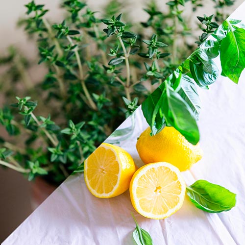 sahumerios artesanales con plantas tomillo y limón
