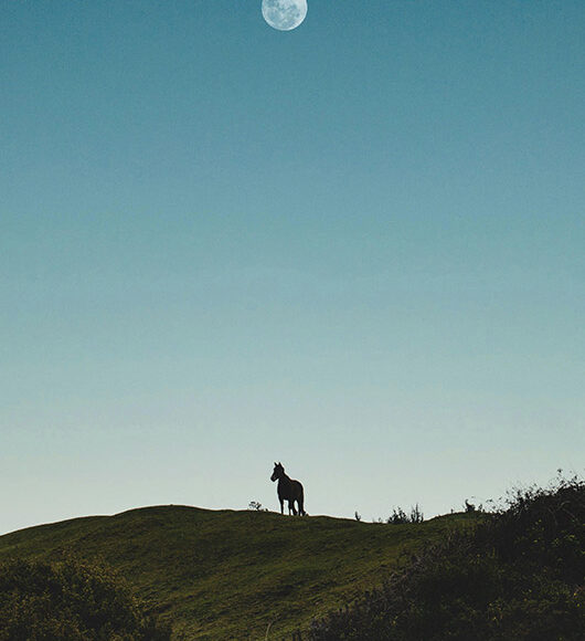 Calendario lunar 2025 luna llena abril