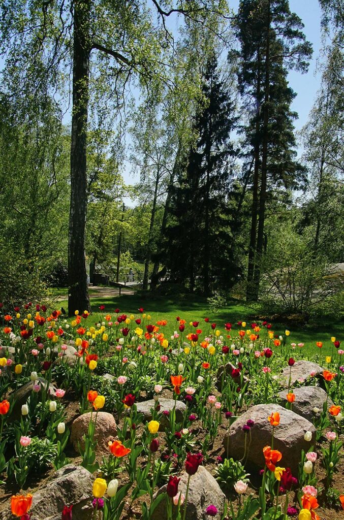 histoire thérapeutique : un jardin pour semener une graine