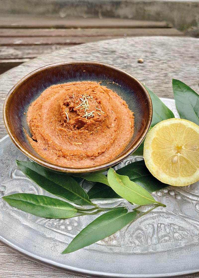 Tartinade Tomates Séchées & Figues recettes pour des apéros healthy