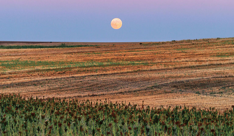 Calendrier lunaire 2025, pleine lune en Sagittaire