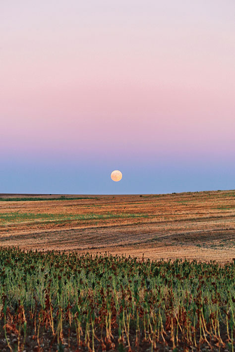 Luna llena de junio en Sagitario